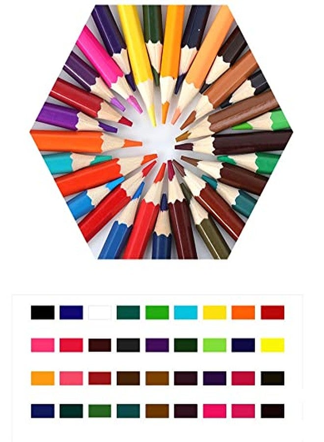 SYGA 36 Color Water Soluble Pencils for Beginners & Pro Artists Drawing Art, Sketching and Colouring - Image 5